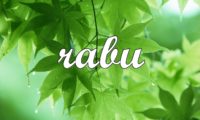 rabu