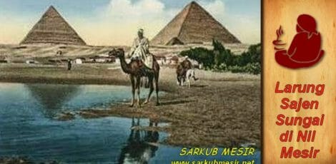 TUMBAL SAJEN SUNGAI NIL SARKUB MESIR